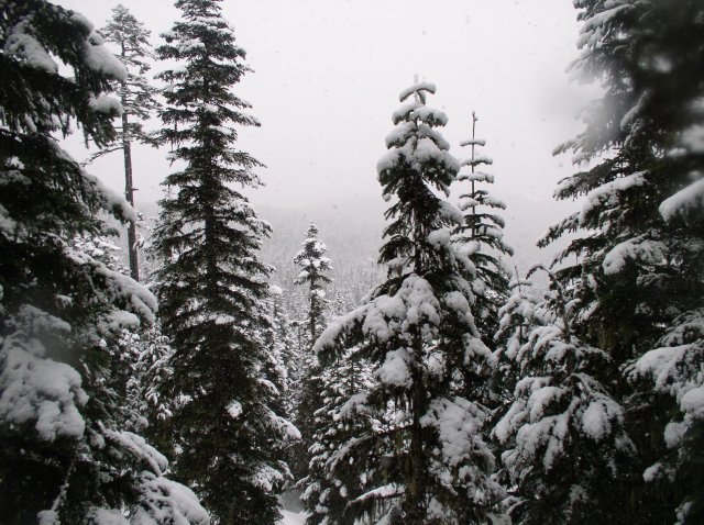 Ghost Ridge-Twin Lakes 039 